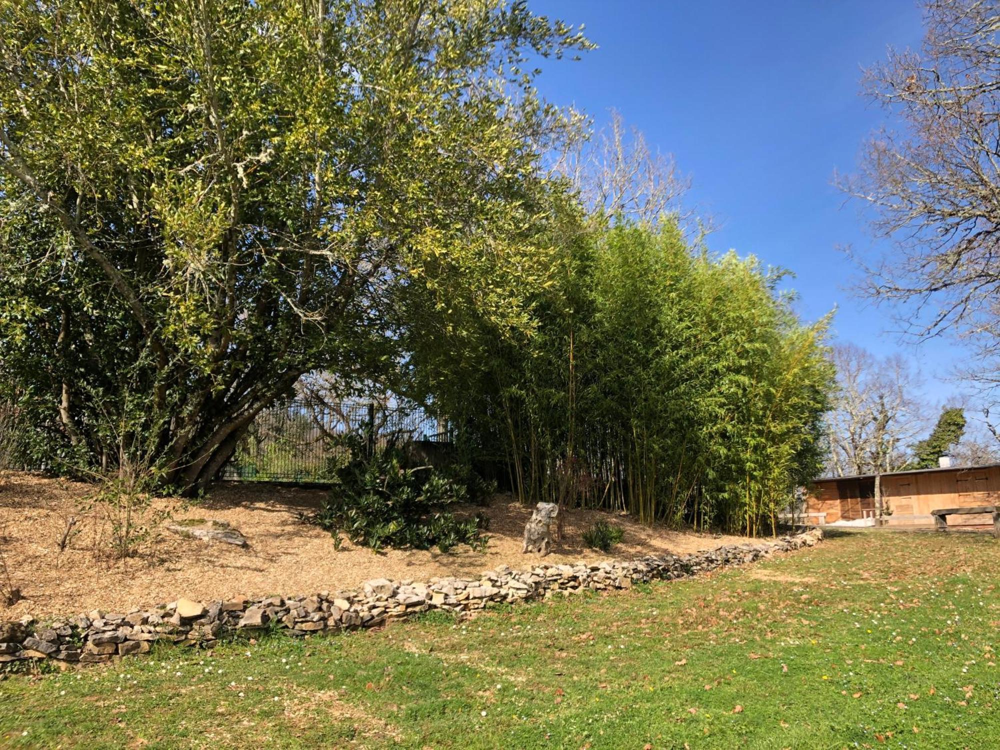 Chateau De Termes Martel Kültér fotó