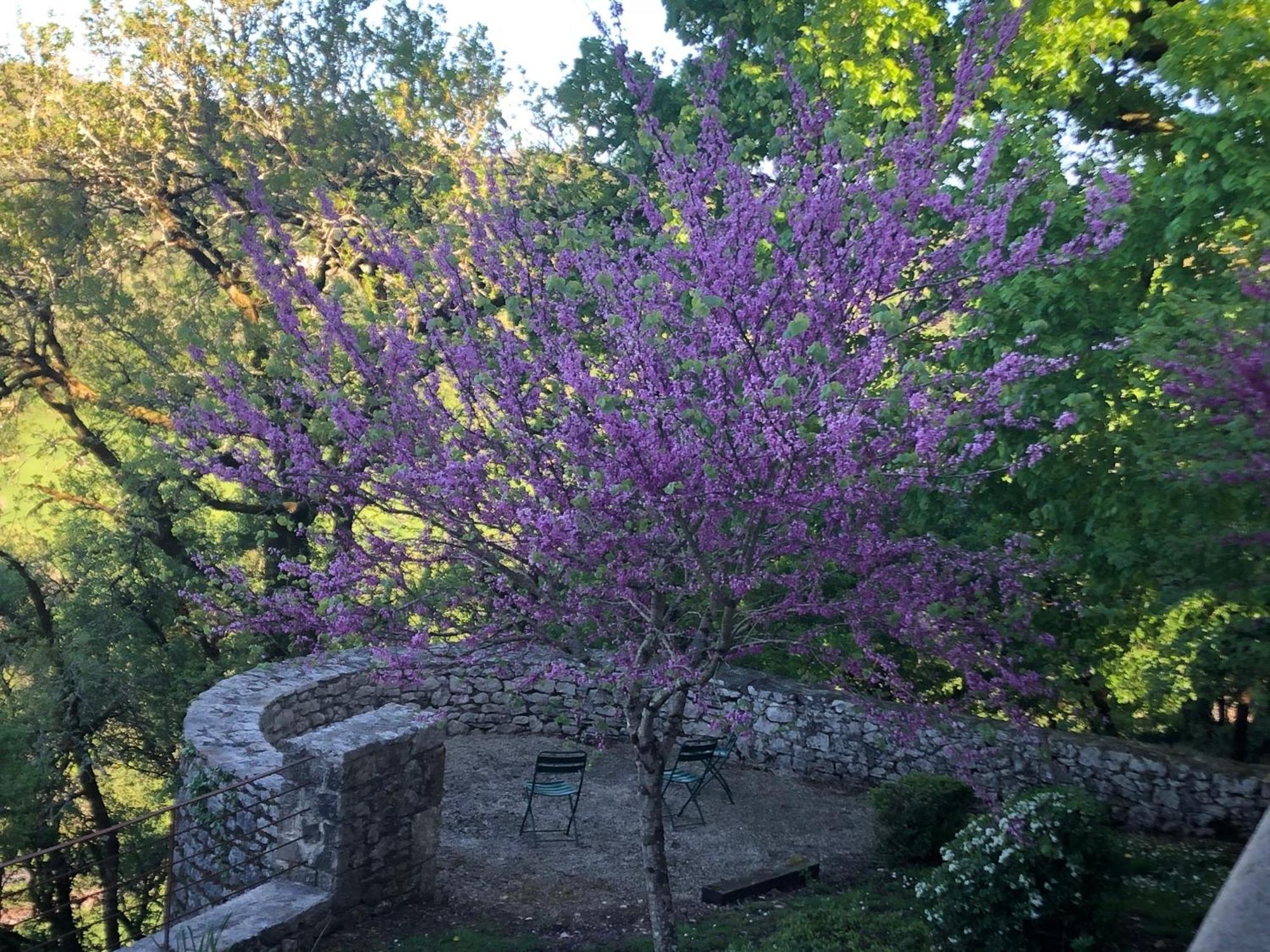 Chateau De Termes Martel Kültér fotó